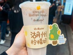 -猫的魔法密林(衣裳街店)