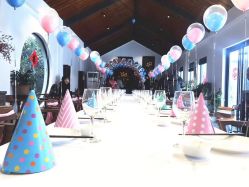 -圣塔拉 宝宝宴生日Party气球派对一站式高端策划