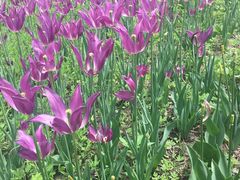 -长春公园(普阳街道)