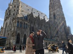 -斯蒂芬主教座堂(Stephansdom)