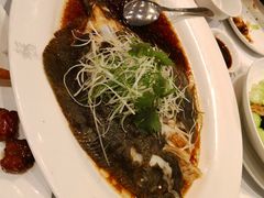 -苏浙汇(朝外店)
