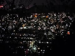-红光山