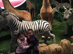 -济州岛泰迪熊博物馆