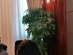 -梦都海鲜酒家(万达广场江桥店)