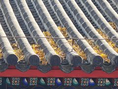 -红螺寺