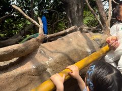 -长鹿旅游休博园