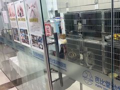 -芭比堂动物医院(广州爱宠下渡路分院)