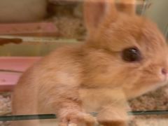 -龙猫仔乐园(惠福东路店)