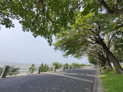 -深圳湾公园(南山区)