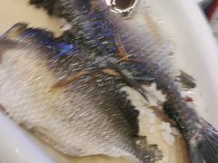 -陶缘一号·四季缘·老字号顺德菜·户外婚礼家宴(西滘店)