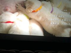 -万象影城(石家庄万象城IMAX激光店)