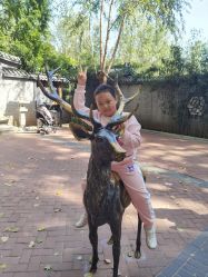 -萌宠亲子动物乐园(槐房万达店)