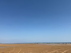 -日照海滨国家森林公园
