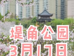 -堤角公园