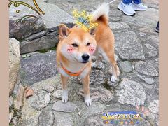 -篁岭石门峡
