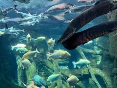 -波塞冬旅游度假区