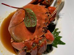 -苏帮袁Sue Cuisine(来福士店)