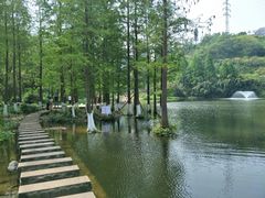 -重庆彩云湖湿地公园