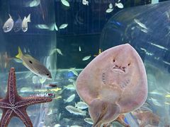 -欢乐海岸海洋奇梦馆