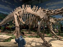 -自贡恐龙博物馆