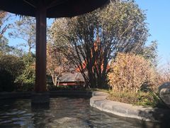 -七彩云南古滇温泉山庄