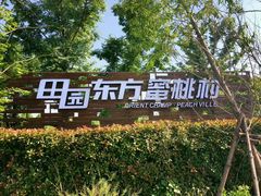 -田园东方蜜桃村的田野营地