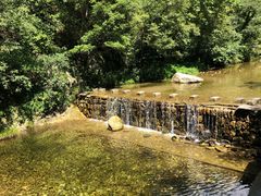 -牛背梁国家森林公园