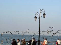 -东港音乐喷泉广场