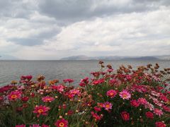 -大理洱海