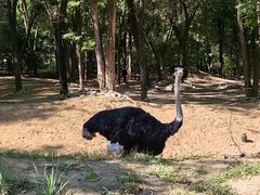 -北京野生动物园