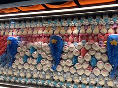 -海合安青岛极地海洋公园