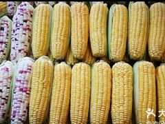 玉米-北京清河镇农副产品交易市场中心