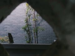 -菊花台公园