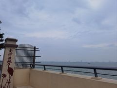 -大湾区中央湿地公园