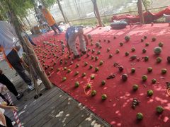 -前小桔亲子创意农场·草莓采摘·露营烧烤