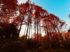 -长广溪湿地公园