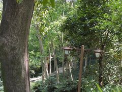 -乌山风景区