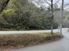 -武夷山风景名胜区-虎啸岩