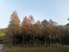 -晓港公园