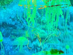 -常州海昌海洋探索馆