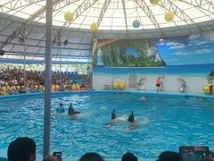 -尼莫海豚馆