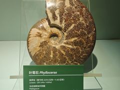 -甘肃省博物馆