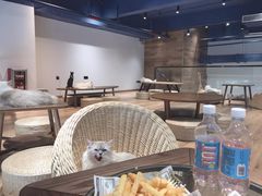 大堂-瞄一喵猫咖(格力海岸店)