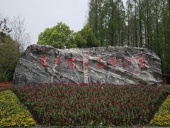 -东平国家森林公园