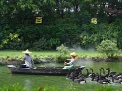 -广州长隆飞鸟乐园