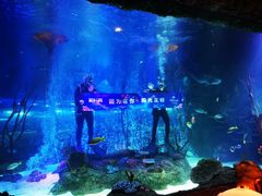 -沈阳海洋探索中心