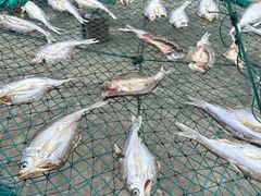 -东钱湖旅游度假区