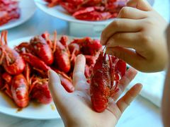 -上海凯宾斯基大酒店