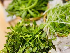 -攀枝花野菜铜火锅(万科凯德店)