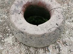 -巢湖姥山岛